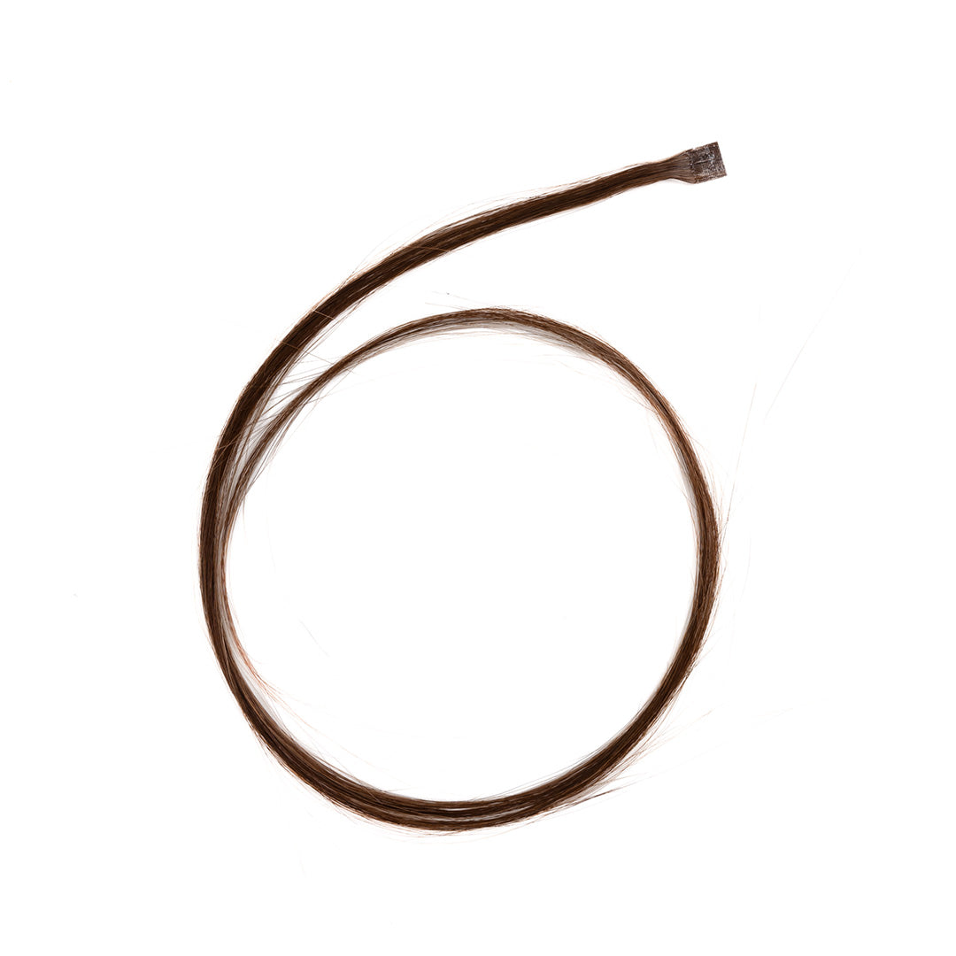 Extension Nocciola Freddo