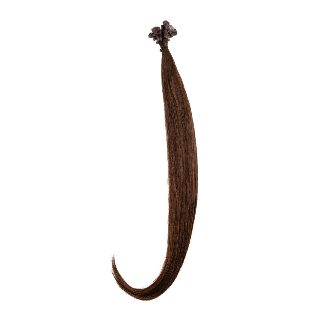 Extension Nocciola Freddo